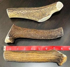 JUMBO Natural ELK Antler Shed Premium Dog Hard Dental Chew Moose FRESH Horn ONE