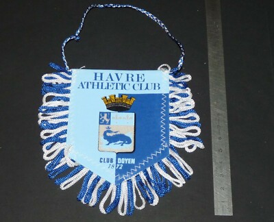 Pavé dans la mare: LE HAVRE : le HAC football L.2