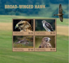 Grenadines 2018 - Broad-Winged Hawk, Birds of Prey - Sheet of 4v - 2997 - MNH