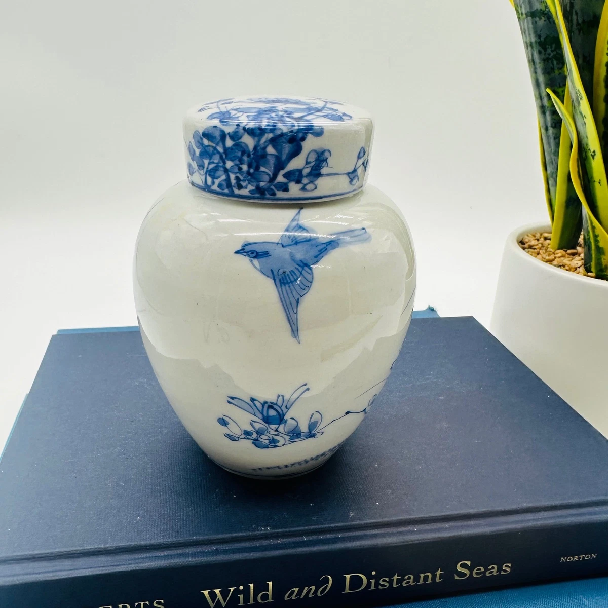 蓝色姜罐花瓶| eBay