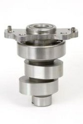 HOT CAMS Nockenwelle YAMAHA RAPTOR YFM 700 (09)