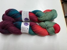 Lof ot 2 - Lorna's Laces Shepherd Sock Yarn - Rockaway - 1413