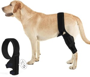 Tinzum L Dog Knee Brace for Torn ACL Hind Leg, Dual Rear Leg Support (C-0232)