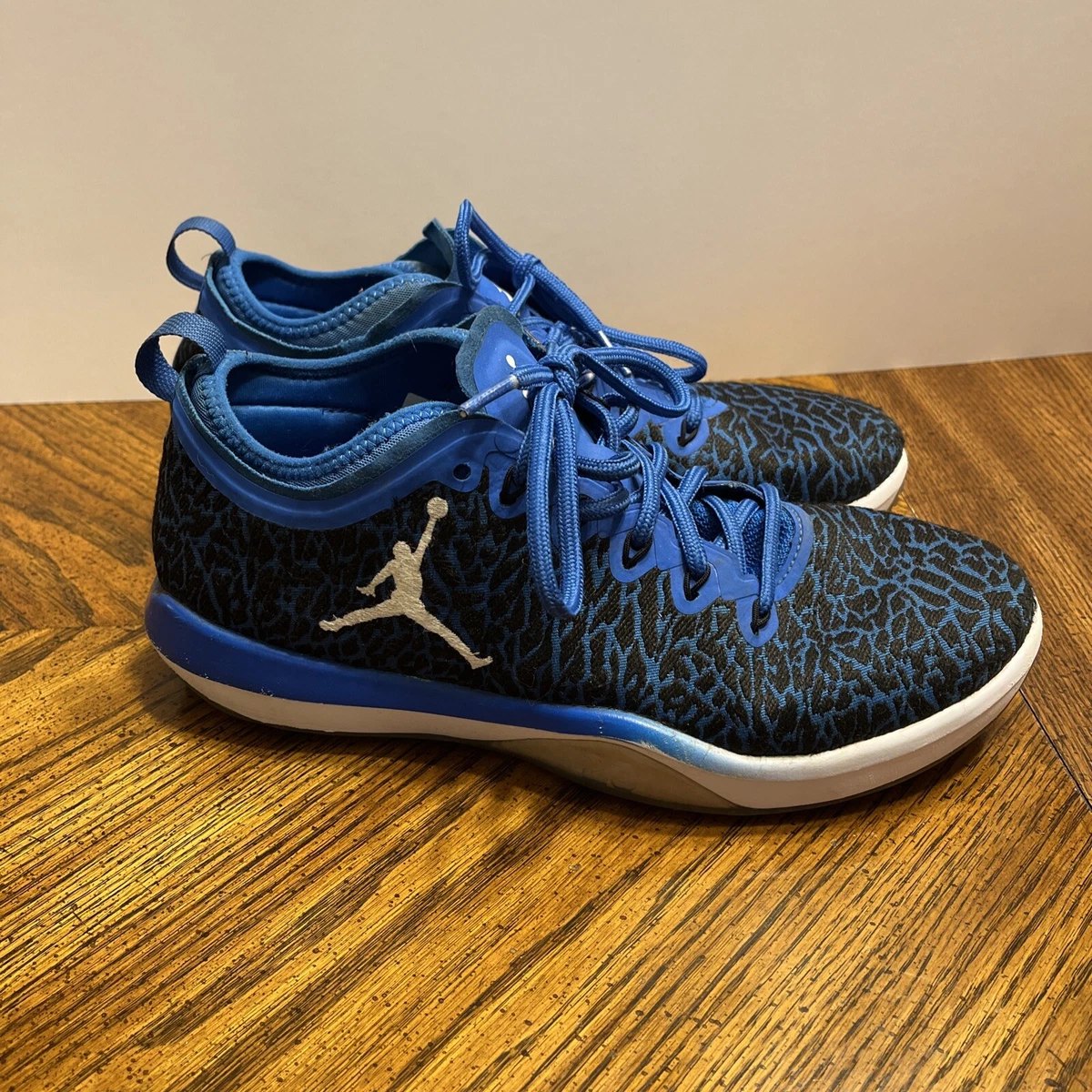 Jordan Trainer 1 Low Blue sz 9 | eBay
