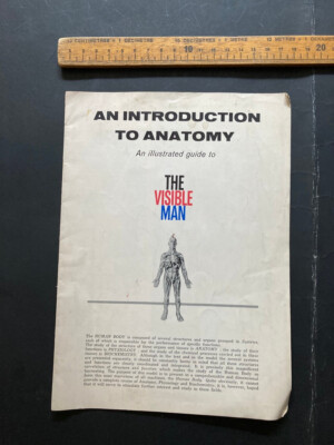 Vintage Einführung in die Anatomie Der sichtbare Mann Broschüre Renwal Toys Mineola NY