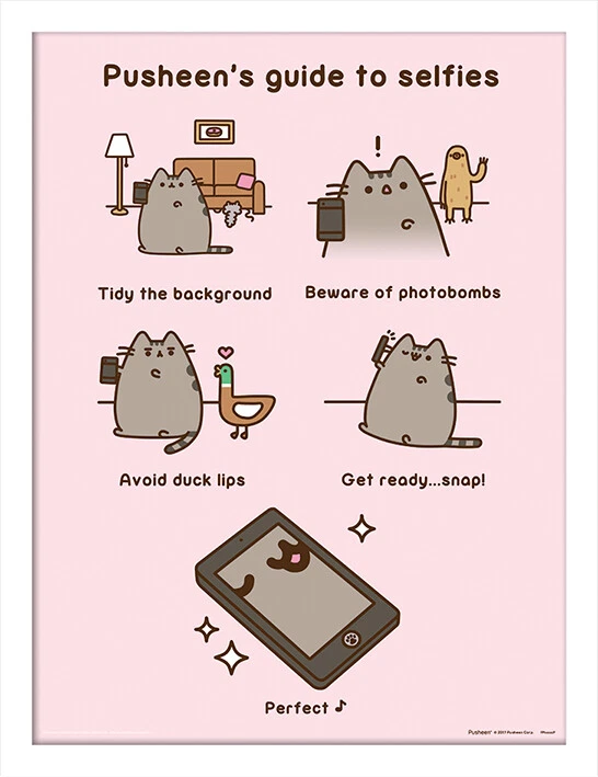 Pusheen - Guide to Selfies - Official 30 x 40cm Framed Print Wall Art
Opens in a new window or tab