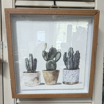 Framed Ready to Hang Cactus Print Wall Art, Horizontal Multicolor 11x11
