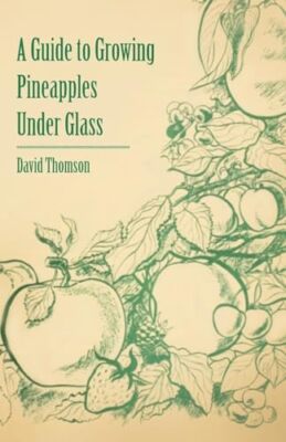 Thomson - A Guide to Growing Pineapples under Glass - New paperback or - X555z