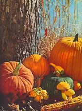 Fall Autunm Photo Poster Print Wall decor 17 X 12