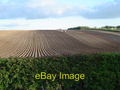 Foto 6x4 Kartoffeln pflanzen Middleton on-the-Wolds Kartoffeln pflanzen auf einem c2005