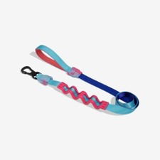ZEE.DOG  Ruff Leash 2.0  Shock Absorbent Dog Leash  Hook That Locks  Hydra