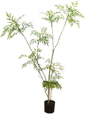 6 FT Artificial Mahonia Fortunei Tree Tall Fake Plant with Black Pot Home Office