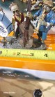 Bild 125 von 131