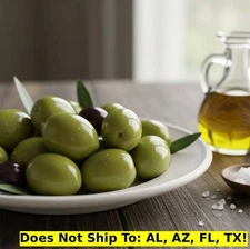 Nocellara Olive Tree 18-20"H Indoor Tropical Fruit Tree Live Starter Plant