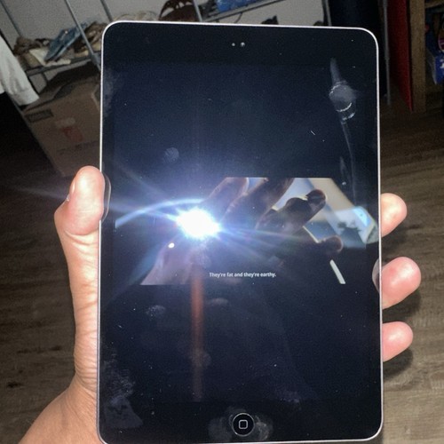 Apple iPad Mini 2 32GB WiFi Space Gray Tablet A A1489 - Picture 8 of 14