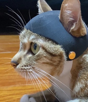 Cat Helmet