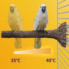 Adjustable Temperature Heated Bird Perch 5W Thermostatic Control Heated Bird