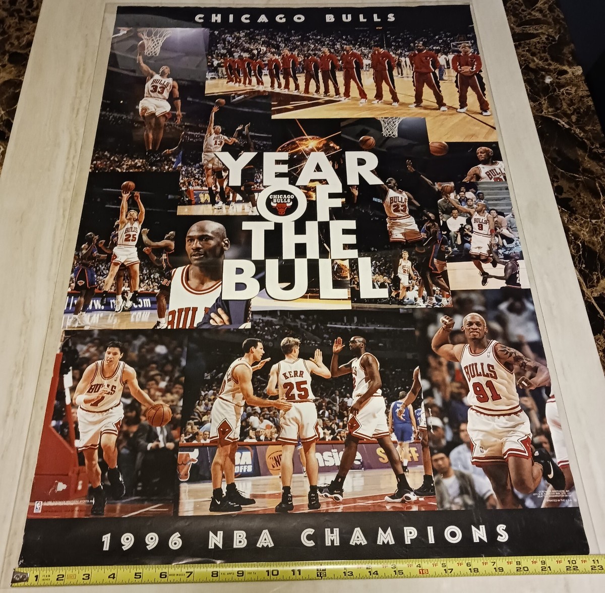 Chicago Bulls Team Poster- 