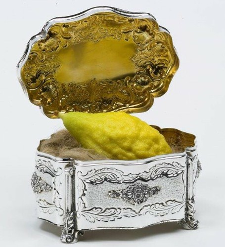 Etrog und Lulav Komplettsatz aus Israel KOSHER mit Arba Minim Esrog mit Pitom - Bild 2 von 3