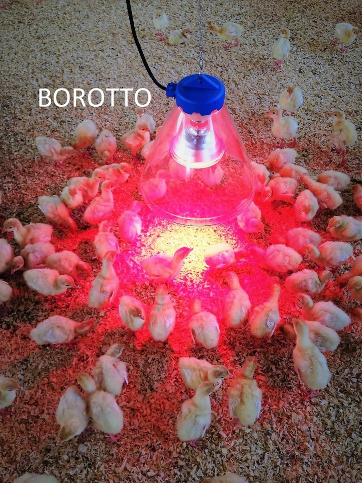 RIFLETTORE IN POLICARBONATO + LAMPADA INFRAROSSO per Pulcini dopo l'incubatrice - Immagine 2 di 4