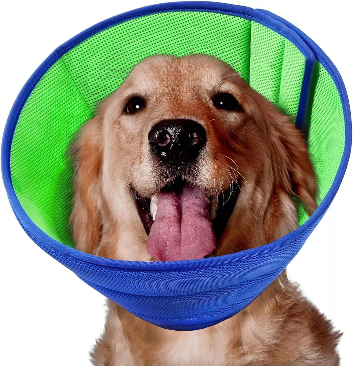 Best cone clearance for large dogs