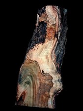 XL Wicked CURLY AMBROSIA MAPLE burlwood Slab EPOXY/STABILIZING Wood Curly Maple