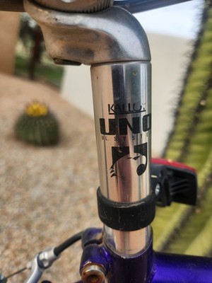Vintage Terry Symmetry Road Bike Designed by Georgena Terry for