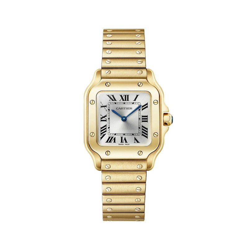Cartier Santos De Cartier WGSA0107