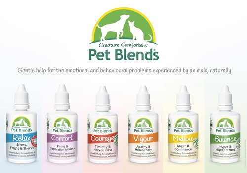 Natural Pet Remedy NERVOUS TIMID INSECURE CONFIDENCE Dog Cat Horse Courage Blend - Picture 7 of 18