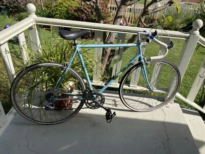 gumtree racing bike