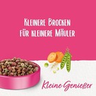 Bild 4 von 5