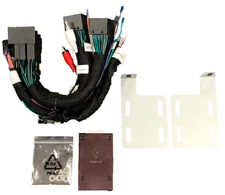 Linkswell  FDSDBOADPT  B&O Audio Interface for 2020-2021 Ford Superduty 