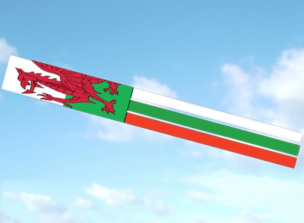 Spirit of Air Welsh Dragon windsock 140cm long 100% polyester festive fun
