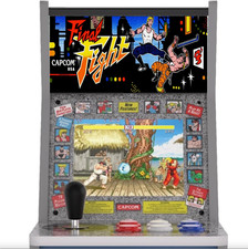 Inserto tendone Evercade Alpha (Edizioni SF o Mega Man) - Combattimento finale