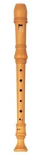 Yamaha YRS-61 Soprano Recorder NEW w/Cleaning stick, cork grease, fingering char