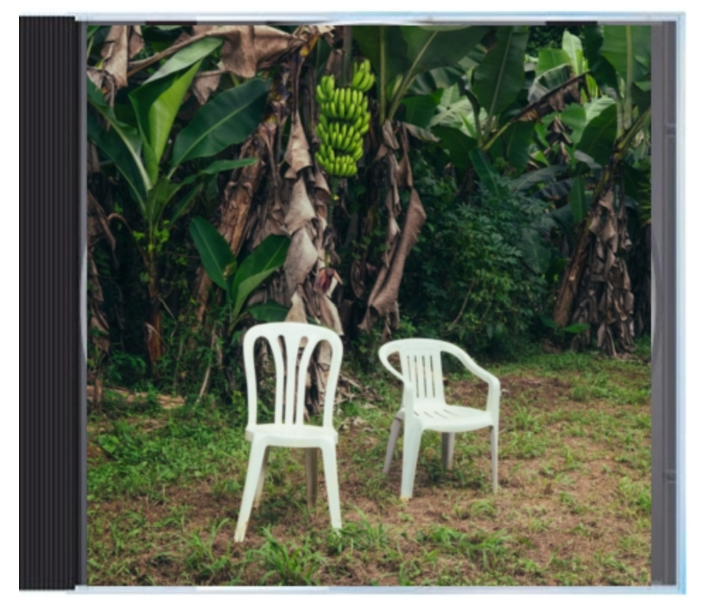 Bad Bunny CD Album Bundle (Debi Tirar Mas Fotos)