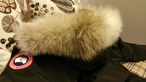BRAND NEW RED LABEL EDITION HOLOGRAM BLACK CANADA GOOSE LANGFORD MM PARKA JACKET - Picture 8 of 12