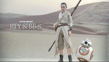 Hot Toys MMS337 Star Wars The Force Awakens REY And BB-8 12    Action Figure Set