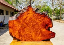 Rare Gold AMBOYNA BURL LUMBER Live Edge Natural Slab DIY Epoxy Resin Table Top
