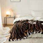 Bild 2 von 22