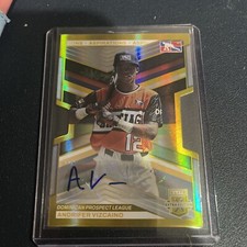 2023 Panini EEE Andrifer Vizcaino DPL Auto Die-Cut Gold Baseball Card #195 /24