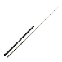 Madcat Green Inline 200Cm 100-150G - Wallerrute, Welsrute, Rute Zum Klopfen Rute