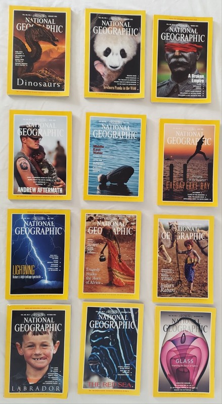 NATIONAL GEOGRAPHIC MAGAZINE Full Year of 1993 Dinosaurs, Pandas, Russia Ukraine