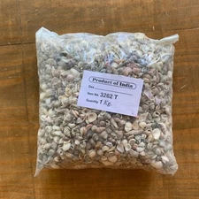 Tiny Indian Shell Mix Seashells 1/4-1/2" Crafting-2.3lbs bag- Item 3262T-NEW!