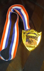 Tae Kwon Do Olympia Medal Canton Michigan Gold Shield Us Flag W Eagle Ebay
