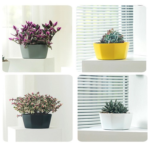 Flower Pots Large Diameter Plastic Planters With Hole Great For Herbs African - Picture 16 of 30