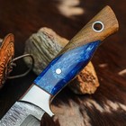 9.3" Damascus Hunting Knife Full Tang Resin Handle Fix Blade Handle+Sheath — photo 3