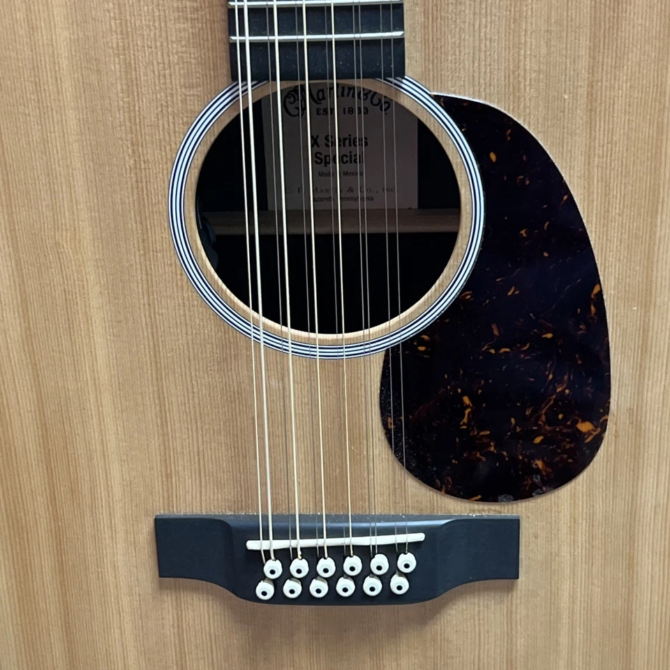 Guitarra Eléctrica Acústica Martin & Co. 12 Cuerdas Hecha en México Con Estuche Blando Foto 2 de 4