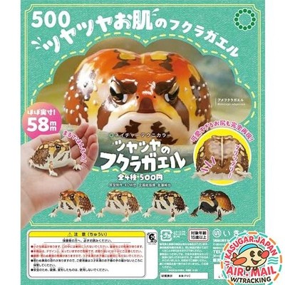 new Glossy Rain Frog 4Set NTC Nature Techni Colour Capsule fm Japan