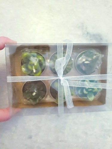 NEW Unbranded Mini Decorative Succulent Cactus Tealight Candles, Set Of Six - Picture 2 of 4